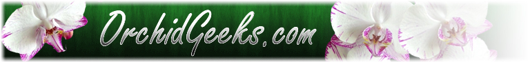 File:Orchid Geeks Logo.jpg