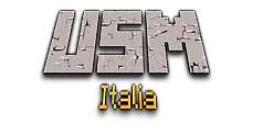 File:USMinecraftWiki Logo.png
