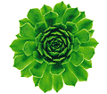 Logo of CCA Customer Tools Wiki