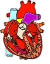 Logo of Pharmahost