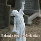 Logo of BDNWiki