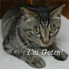 Logo of GotenWiki