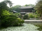 Logo of 주합루공개위키