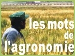 Logo of Les Mots de l'agronomie