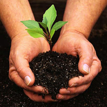 Logo of WikiGardener