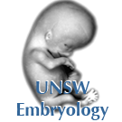 Logo of Embryology