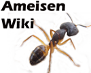 Logo of Ameisenwiki