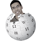 Logo of Brian Foo Wiki