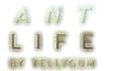 Logo of Ant Life Wiki
