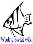 Logo of Akwarystyka wiki