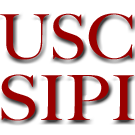 Logo of WikiBiron