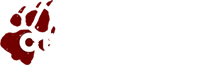 File:Fandom-cerealsoup-sitelogo.png