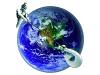 Logo of Manaiakalani Netbook Troubleshooting