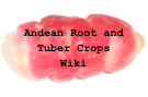 Logo of Andean Root and Tuber Crop Wiki