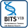Logo of BITS wiki