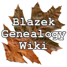 Logo of Blazek Genealogy