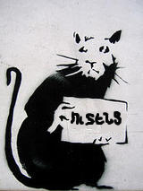 Logo of Չտեսություն