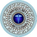 Logo of Viet Y Hoc Wiki