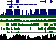 File:Genomewiki Logo.png