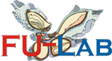 Logo of Wiki FU-Lab
