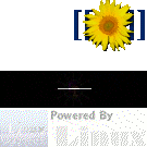 Logo of Definity-Systems