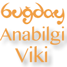 Logo of Ana Bilgi