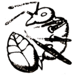 Logo of WikiMrówki