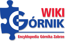 File:WikiGórnik Logo.png
