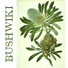 Logo of BushWiki