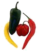 Logo of MsgServerDocWiki