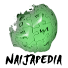 Logo of Naijapedia