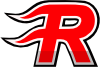 Logo of Rapid Information Systems
