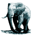 Logo of PostgreSQL