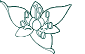 Logo of FNA