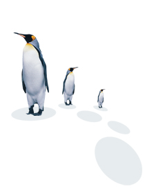 File:Wiki-Tux65 Logo.jpg