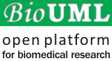 Logo of BioUML platform