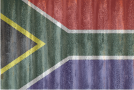 Logo of SA Informal Settlement