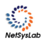 Logo of NetSysLab