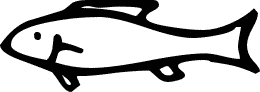 File:WikiFishi Logo.png