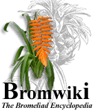 Logo of BromWiki (en)