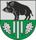 Logo of 800 Jahre Serno