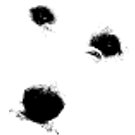 Logo of Mein Hund