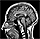 Logo of Topics in Neuroscience