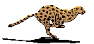 Logo of Free Pascal wiki