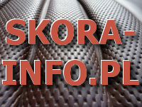 File:Leksykon o skórach Logo.png