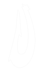 Logo of Moving Images of the Pacific Islands