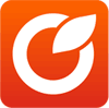 Logo of Laximo