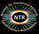 Logo of NTR Wiki
