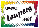 Logo of Leupers.net-Wiki
