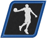 Logo of NLSC Wiki